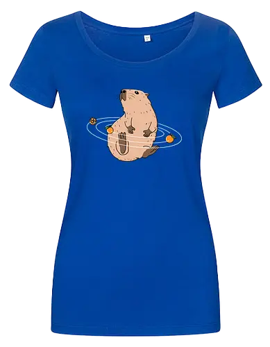 Capy Solar System