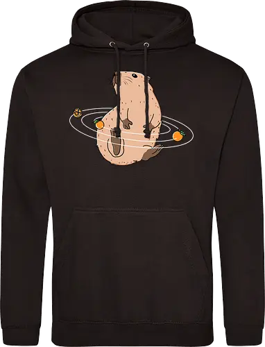 Capy Solar System