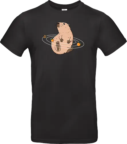 Capy Solar System