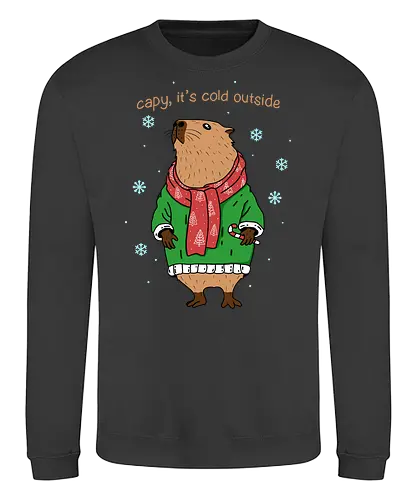 Capybara Winter - Capybara, winter - Sweatshirt
