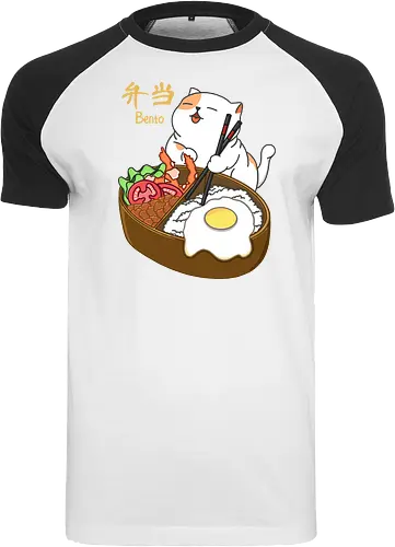 Cat and Bento
