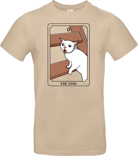 The Fool Funny Cat