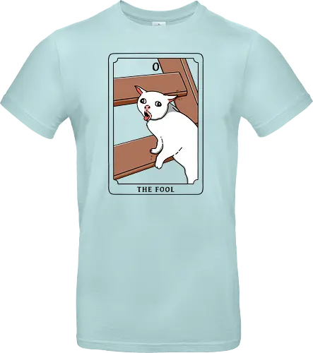 The Fool Funny Cat