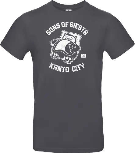 Sons Of Siesta