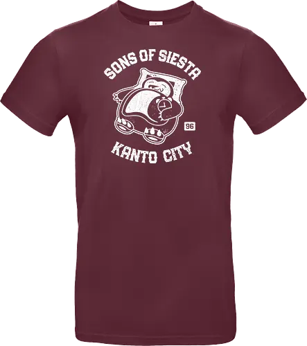Sons Of Siesta
