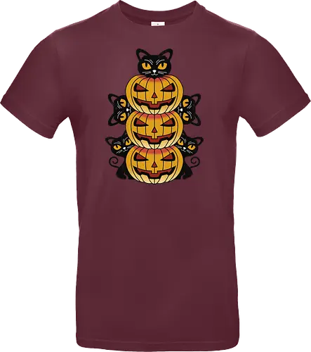 Cats and Pumpkins