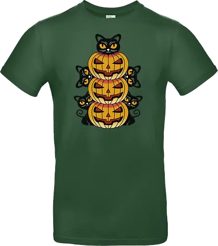 Cats and Pumpkins
