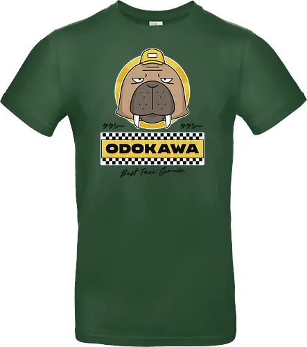 Odokawa Taxi