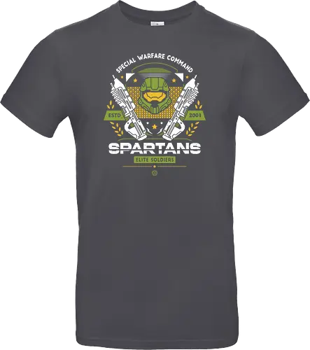 Military Spartan Soldiers
