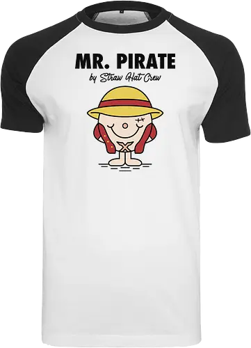 The Little Mr Pirate