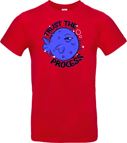 Trust the process