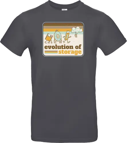 Evolution of Storage