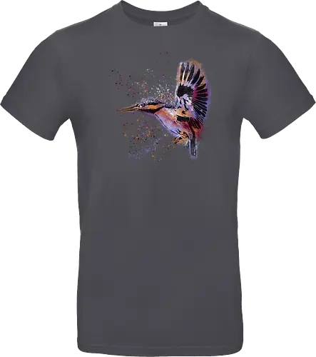 Eisvogel /  Kingfisher