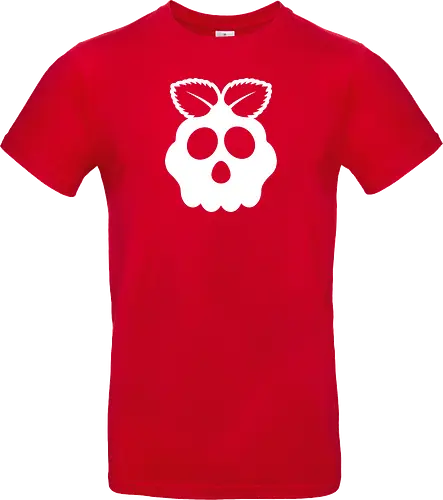 Raspberry Skull
