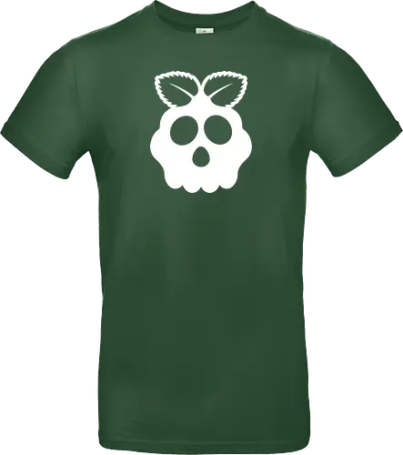 Raspberry Skull