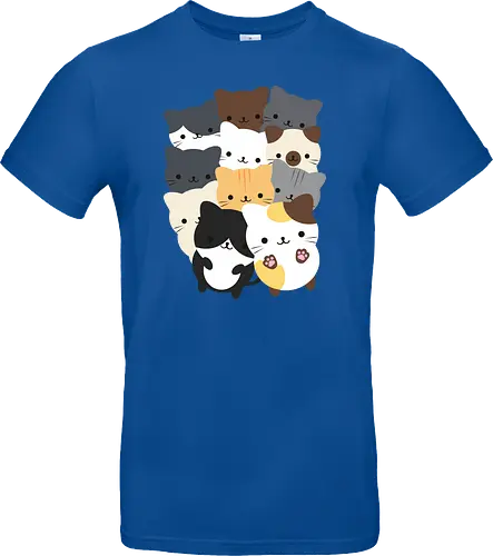 Cats and cats
