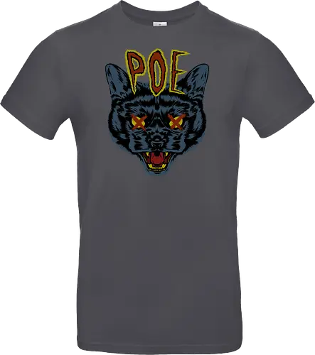 Poe's Cat