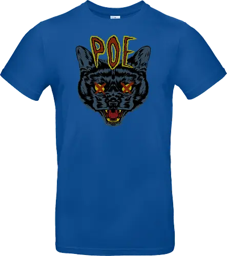 Poe's Cat