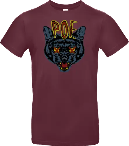 Poe's Cat