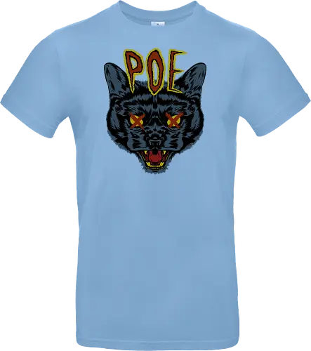 Poe's Cat