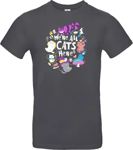 We are all Cats here