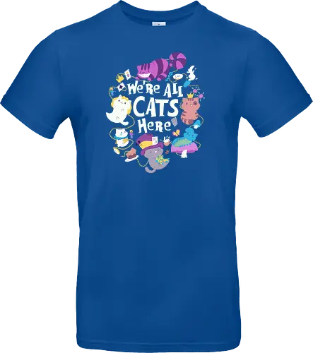 We are all Cats here