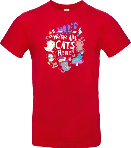 We are all Cats here