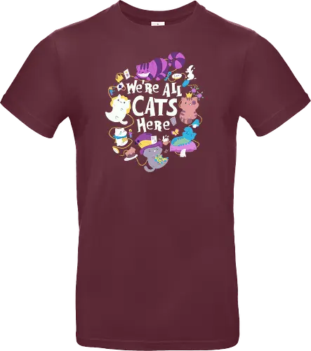 We are all Cats here