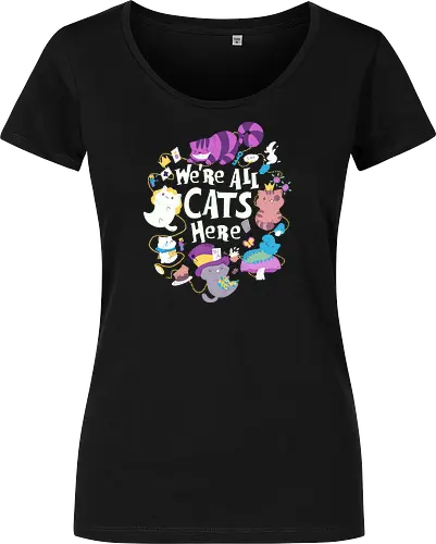 We are all Cats here