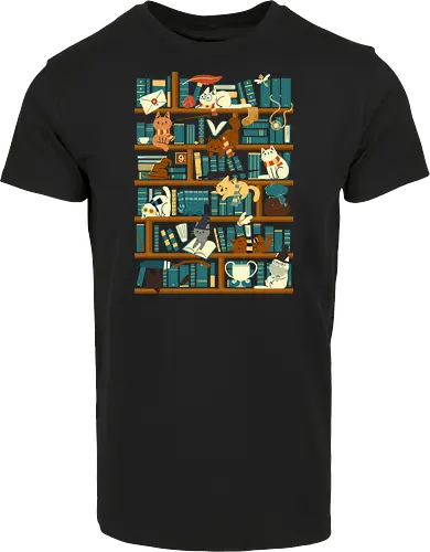 Library Magic School