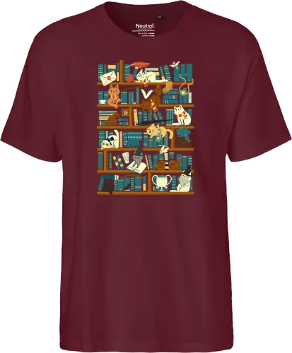 Library Magic School