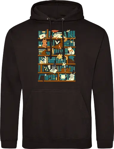 Library Magic School