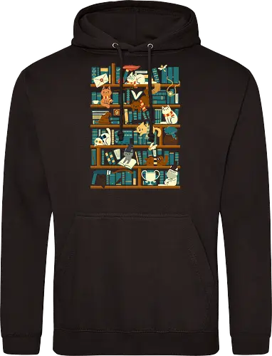 Library Magic School