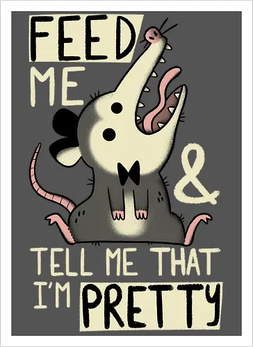 Pretty Possum