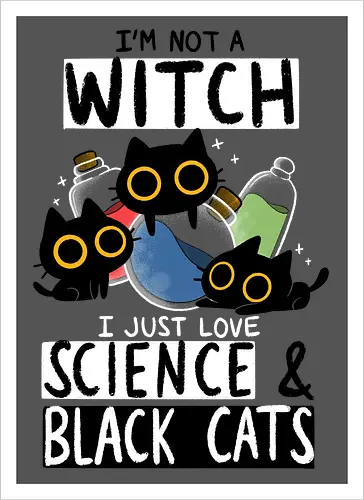 Not a Witch