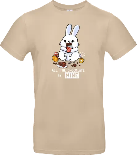Chocolate Bunny