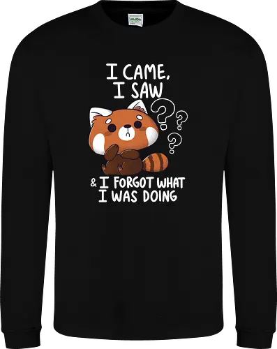 Forgetful Red Panda