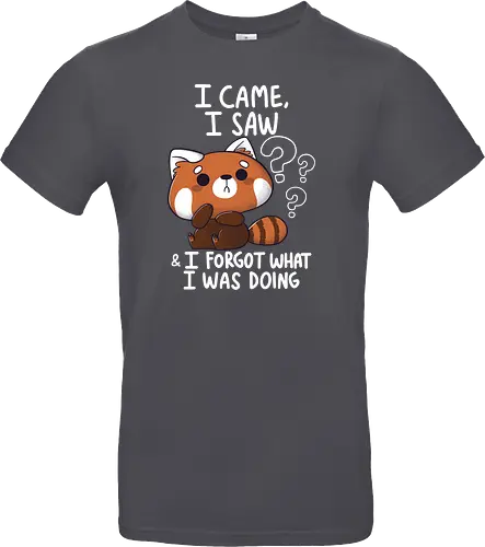 Forgetful Red Panda