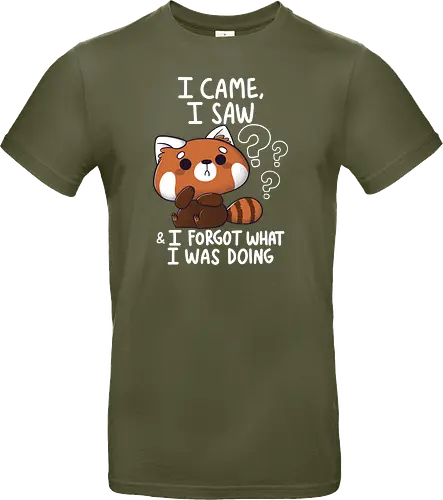 Forgetful Red Panda