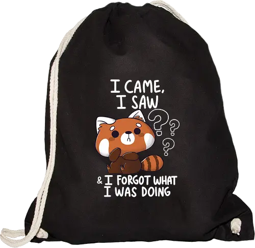 Forgetful Red Panda