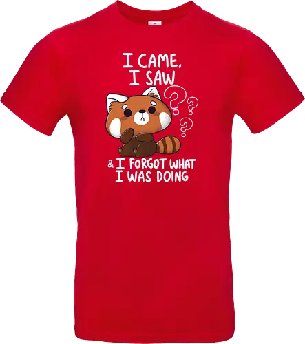 Forgetful Red Panda