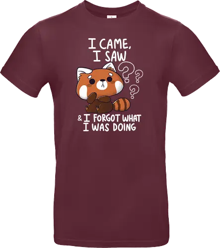Forgetful Red Panda