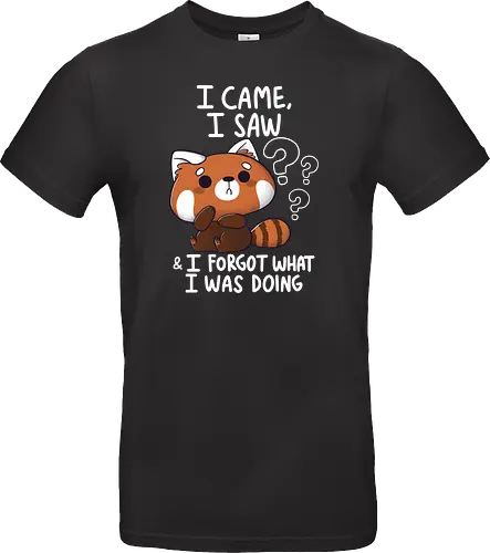 Forgetful Red Panda