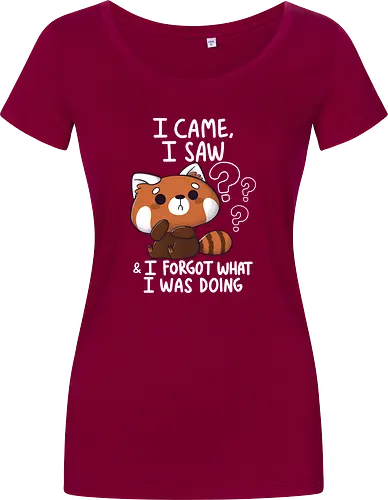 Forgetful Red Panda