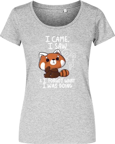 Forgetful Red Panda