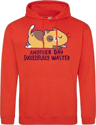 Another Day Successfully Wasted