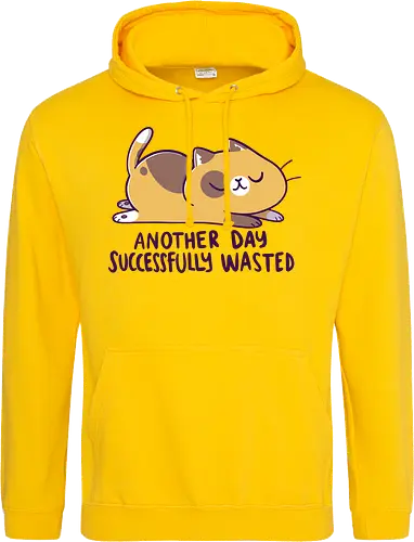 Another Day Successfully Wasted