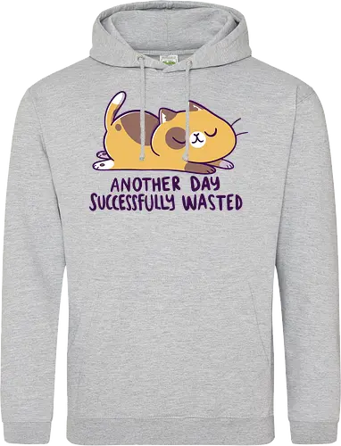 Another Day Successfully Wasted