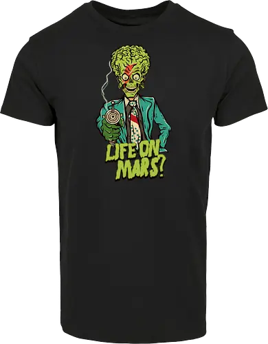 Life on Mars?