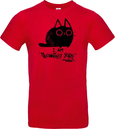 Meowntally Stable